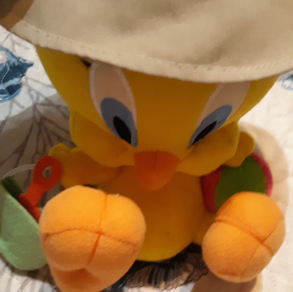 TM &Warmer Bros Entertainment Inc Tweety bird